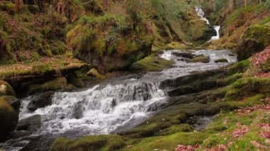 Muhteşem 4K yavaş çekim video manzaralı şelale ve derin ormanlardaki şelaleler, O 'Sullivans şelaleleri, Killarney, Kerry, İrlanda