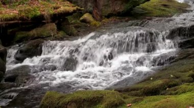 Muhteşem 4K yavaş çekim video manzaralı şelale ve derin ormanlardaki şelaleler, O 'Sullivans şelaleleri, Killarney, Kerry, İrlanda