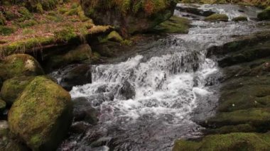 Muhteşem 4K yavaş çekim video manzaralı şelale ve derin ormanlardaki şelaleler, O 'Sullivans şelaleleri, Killarney, Kerry, İrlanda