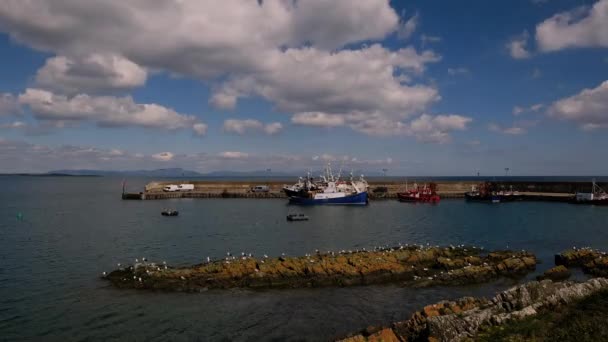 Magnifique Vidéo Timelapse Petit Port Avec Des Bateaux Pêche Des — Video