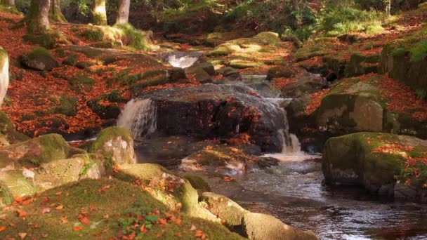 令人惊奇的4K慢镜头 拍摄了金秋山溪瀑布和瀑布与风景秀丽的周围环境 克洛赫 威克洛山国家公园 爱尔兰 — 图库视频影像