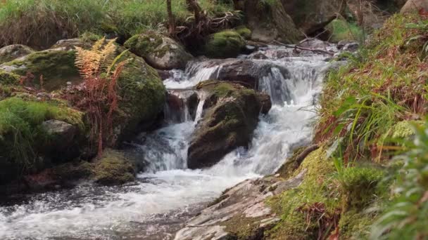 Escénica Video Cámara Lenta Cascadas Arroyo Montaña Cascadas Pintoresco Bosque — Vídeos de Stock