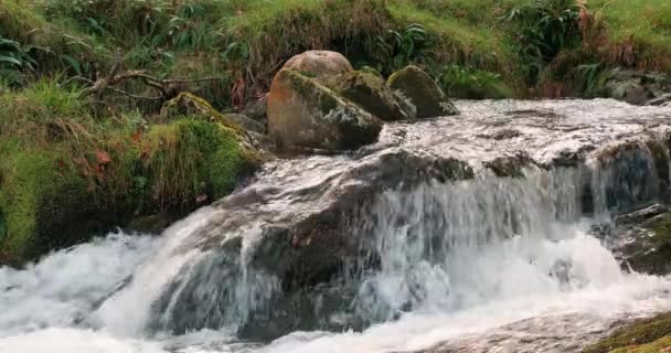 Escénica Video Cámara Lenta Cascadas Arroyo Montaña Cascadas Pintoresco Bosque — Vídeo de stock