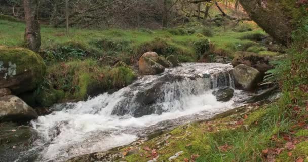 Escénica Video Cámara Lenta Cascadas Arroyo Montaña Cascadas Pintoresco Bosque — Vídeo de stock