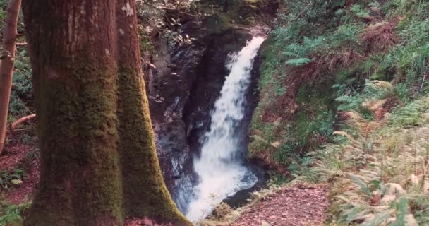 Niesamowite Wideo Slow Motion Głębokiego Wodospadu Leśnego Dolinie Glendalough Park — Wideo stockowe