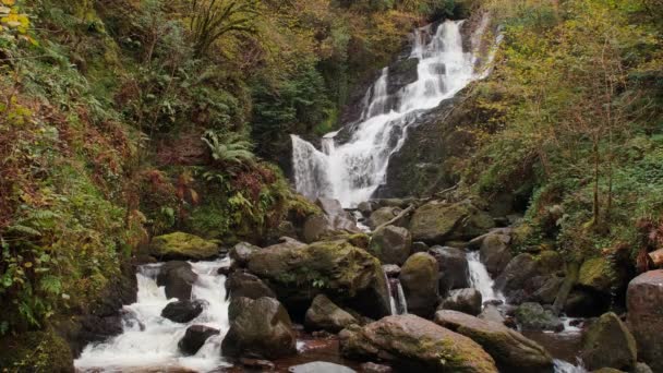 Picturesque Lassított Felvétel Torc Vízeséséről Killarney Nemzeti Parkban Ring Kerry — Stock videók