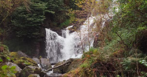 Picturesque Slow Motion Video Torc Waterfall Killarney National Park Benchmark — стоковое видео