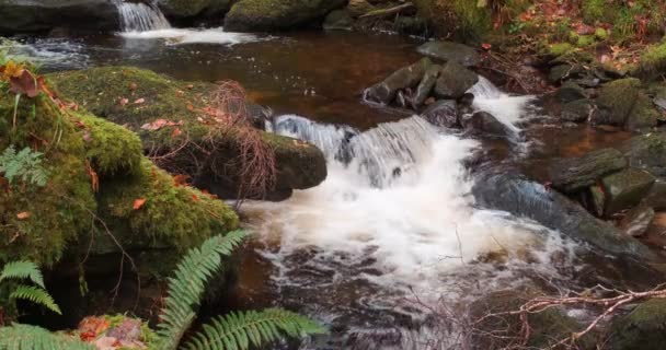 Espectacular Video Cámara Lenta Cascada Escénica Cascadas Agua Bosque Profundo — Vídeos de Stock