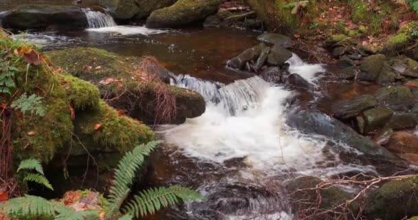 Spektakulär Slow Motion Video Natursköna Vattenfall Och Kaskader Vatten Djupa — Stockvideo