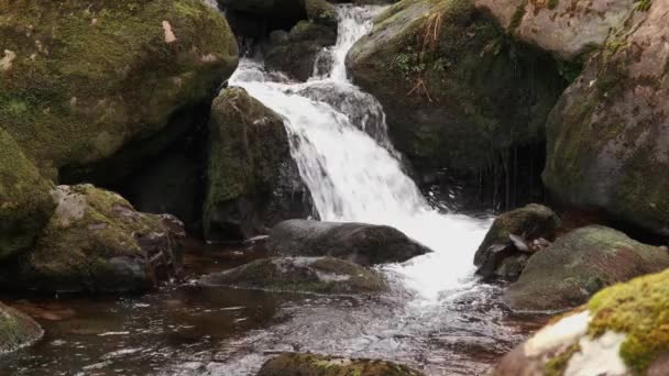 Спектакльное Видео Замедленного Действия Живописного Водопада Каскадов Воды Глубоких Лесах — стоковое видео
