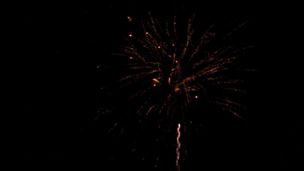 Fuochi artificiali — Video Stock