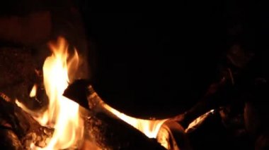şenlik pot