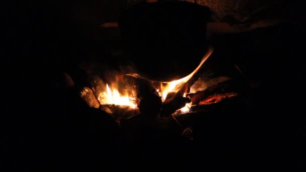 Night. Bonfire. Stir hot coals. — Stock Video