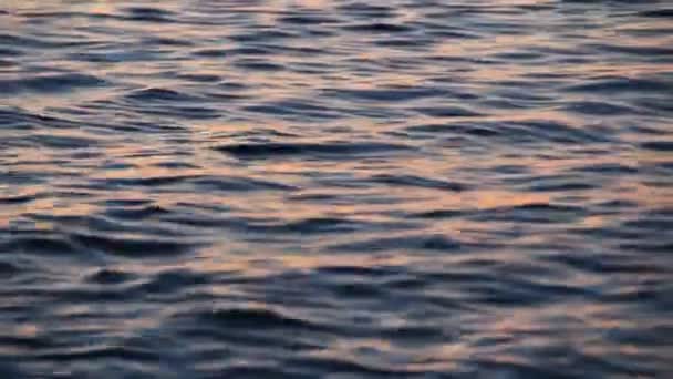 Surface d'eau
