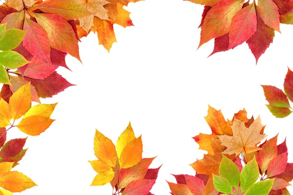 Sonbahar Yaprakları