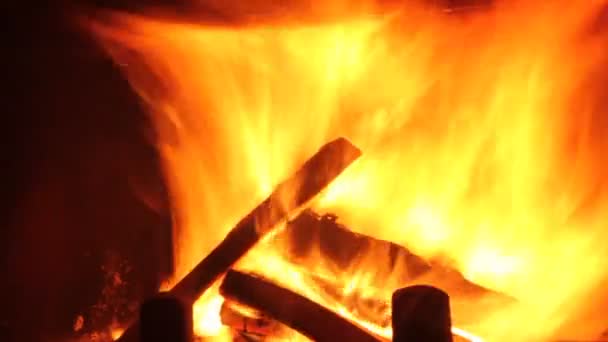 Wood burning in the fireplace — Stock Video