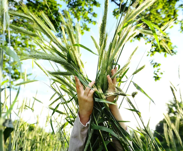 Kız, şefkatle buğday demeti kucaklar