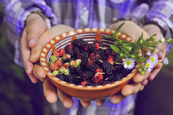 女性の手の中に新鮮な果実とプレート ストック画像