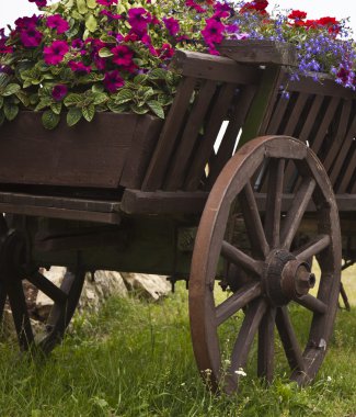 saksı çiçekleri ile eski ahşap sepeti