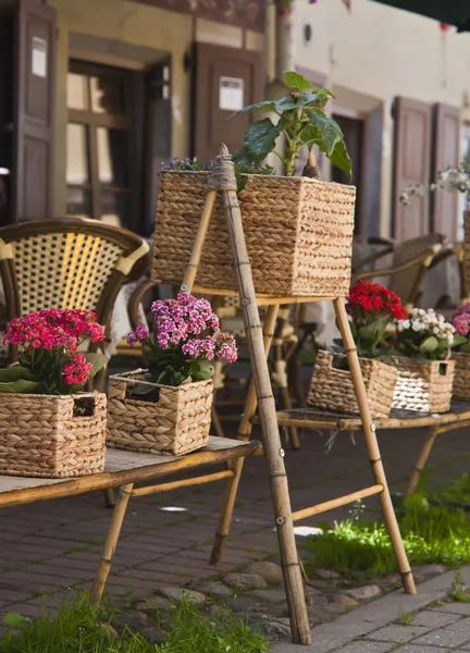 Flower pots along the street — Stock Photo, Image