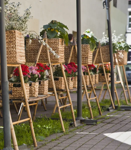 Flower pots along the street — Stock Photo, Image