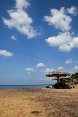 Tropik cennet cennet cennet plajı. Sri Lanka