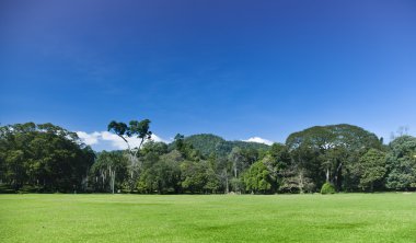Görünüm Botanik Bahçe Botanik Bahçesi