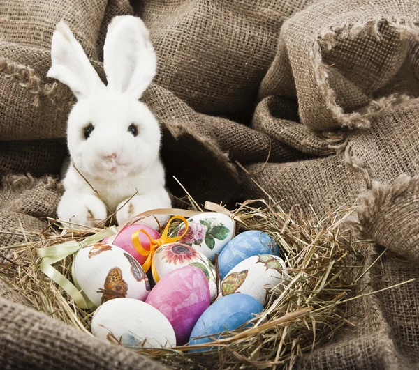 Easter bunny and Easter eggs — Stock Photo, Image