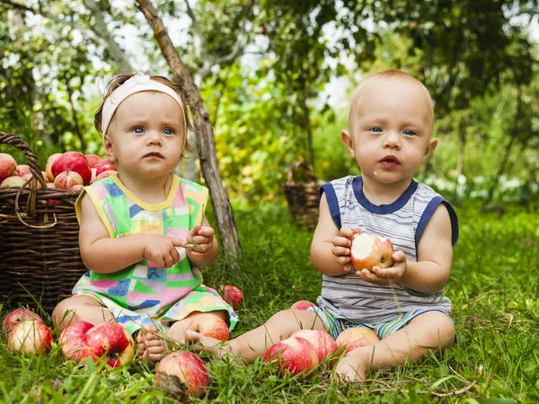 A little girl and a boy with a basket of red apples — Stock Photo, Image