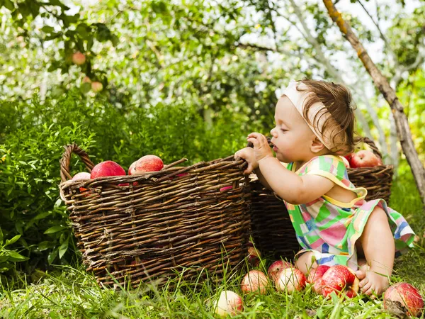 Liten flicka med en korg med röda äpplen — Stockfoto