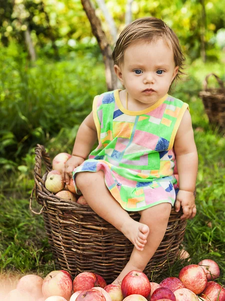 Liten flicka med en korg med röda äpplen — Stockfoto