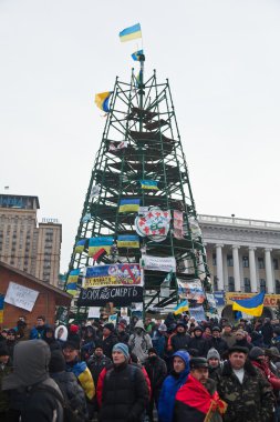 Maidan Noel ağacı. Ukrayna kitlesel protesto gösterileri