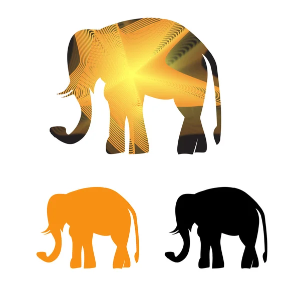 Elefante enmarcado dorado en rayos de luz — Vector de stock