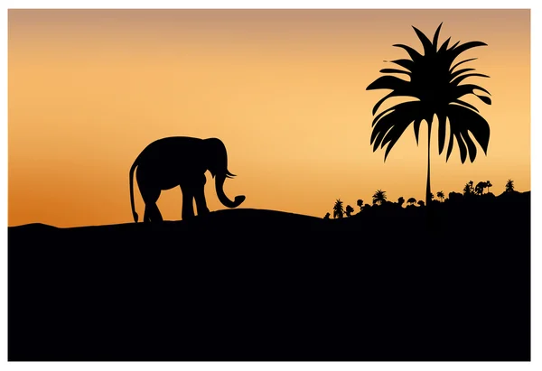 Silhouette scura di elefante e alberi al tramonto — Vettoriale Stock