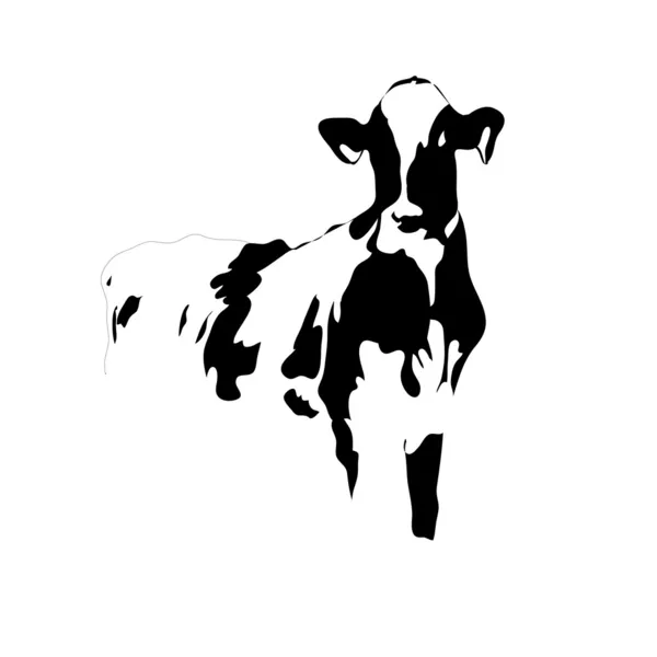 Portré nagy fekete-fehér tehén vektor — Stock Vector