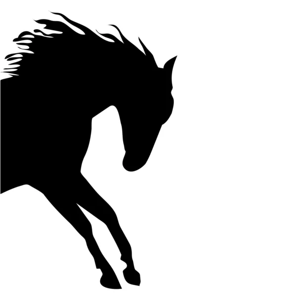 Cavalo silhueta vetorial fino preto — Vetor de Stock