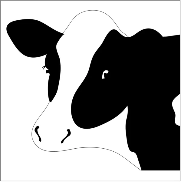 Retrato gran vector de vaca en blanco y negro — Archivo Imágenes Vectoriales