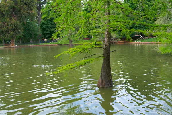 Historische gebouwen parken in madrid — Stockfoto