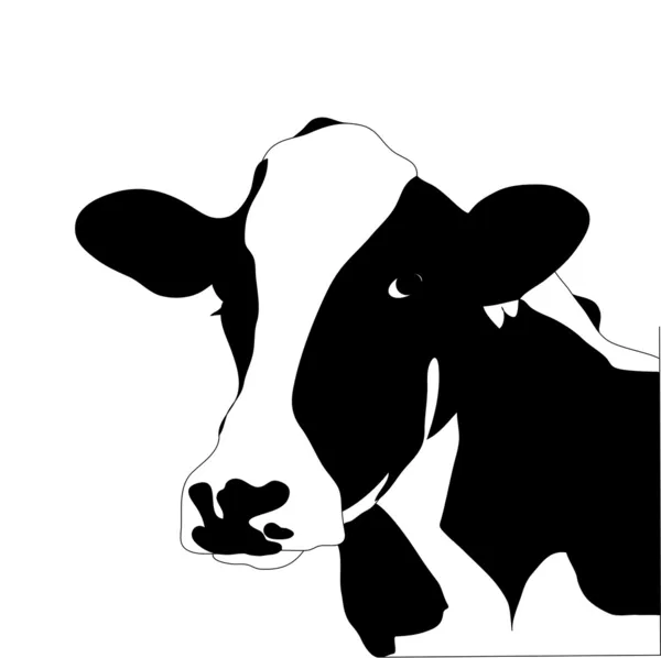 Portrait big black and white cow vector — Stock Vector