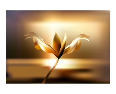 Gül yaprağı ateş yanan çiçek