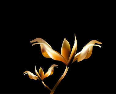 Gül yaprağı ateş yanan çiçek