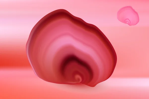 Rose pétale coquille de fleur sur rose — Image vectorielle