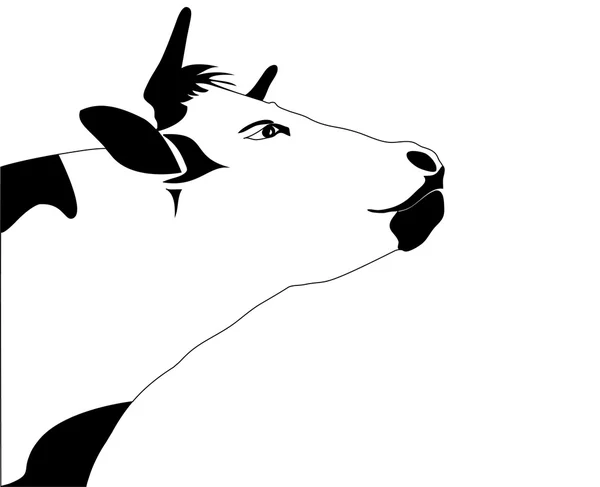 Portrait big black and white cow vector — Stock Vector