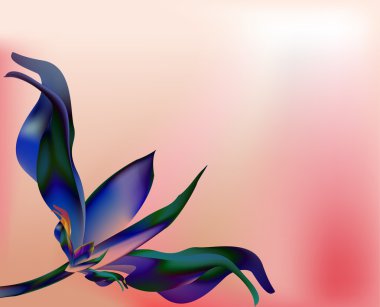 pembe Gül mavi petal çiçek kabuk