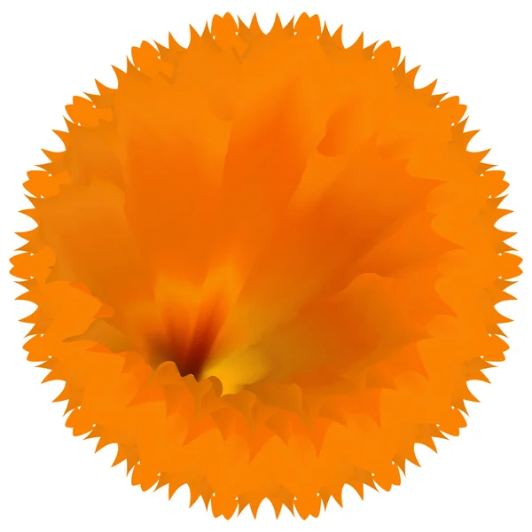 Rose gold sun petal flower shell on yellow — Stock Vector