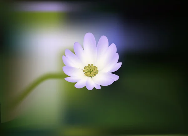 Realistic mesh lilac flower on green background — Stock Vector