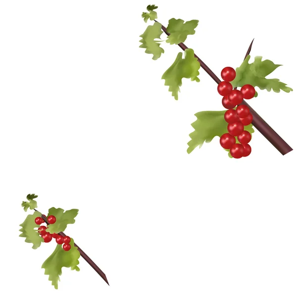 Röda bär på gröna gren jul — Stock vektor