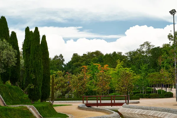 Banken en groene bomen in het steegje in park — Stockfoto