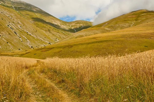 Горный панорамный источник в горах Италии — стоковое фото