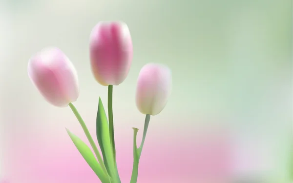Eleganter frühlingshafter grüner Hintergrund mit Tulpen — Stockvektor